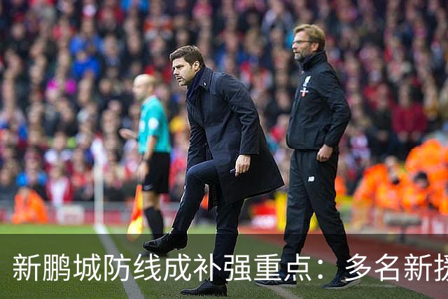 新鹏城防线成补强重点：多名新援亮相 姜至鹏完成体检